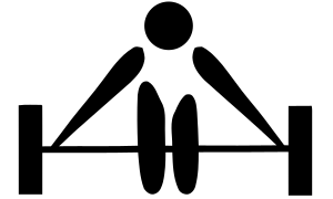 VFV Braunwschweig